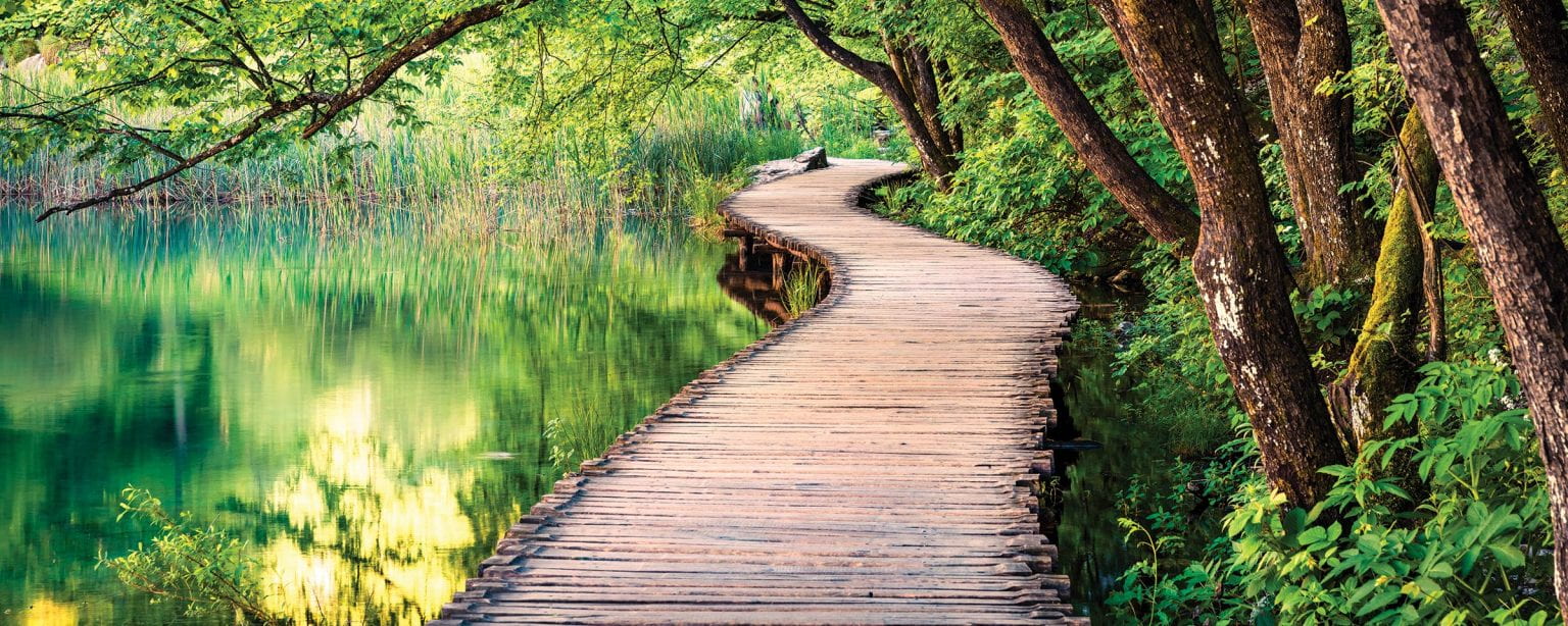 roadmap-banner-1536x614